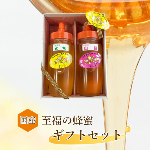 国産 超高級はちみつ とち 山桜 250g 2本セット | 栃木県産品 佐野市 天狗屋養蜂店 国産 純粋蜂蜜 はちみつ HONEY 栃 さくら 無加工 非加熱 スイーツ ドリンク 朝食 料理 とんがり容器 国産 超高級はちみつ とち 山桜 250g 2本セット | 栃木県産品 佐野市 天狗屋養蜂店 国産 純粋蜂蜜 はちみつ HONEY 栃 さくら 無加工 非加熱 スイーツ ドリンク 朝食 料理 とんがり容器