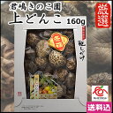 こだわりの原木栽培で育てた無添加の乾燥椎茸！君嶋きのこ園の原木しいたけ 干椎茸【上どんこ】（栃木県産品　矢板市）