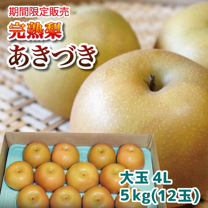 栃木のおいしい完熟梨 あきづき 大玉4Lサイズ 12玉 約5kg【ご予約商品 9月20日頃より順時発送】 ｜ 栃木県産品 宇都宮市 人気商品 完熟 梨 なし あきづき 和梨 旬の果物 フルーツ 国産 産地直送 産直 期間限定