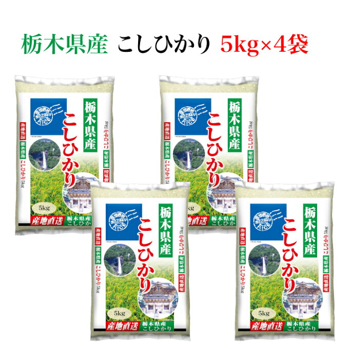 ＜とちぎの美味しいお米 栃木県産コシヒカリ 20kg＞ 全国産地厳選米お届け...