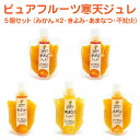伊藤農園 ピュアフルーツ寒天ジュレ 5個セット | 和歌山県有田市 無添加 疲労回復 美肌効果 食物繊維 みかん きよみ あまなつ 不知火 果汁たっぷり 寒天 粗糖 ゼリー FN0XT