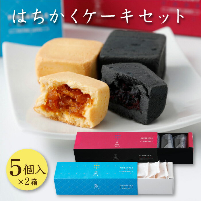 はちかく ケーキセット 5個入り 2箱 ｜ 鳳梨パイナップルケーキ 大山ブルーベリーケーキ 各5個入 1箱 合計10個 鳥取県 パイナップル 二十世紀梨 ブルーベリー 藍苺 チャコールフード 活性炭 贈答用 ギフト プレゼント 贈り物 FN0BAのサムネイル