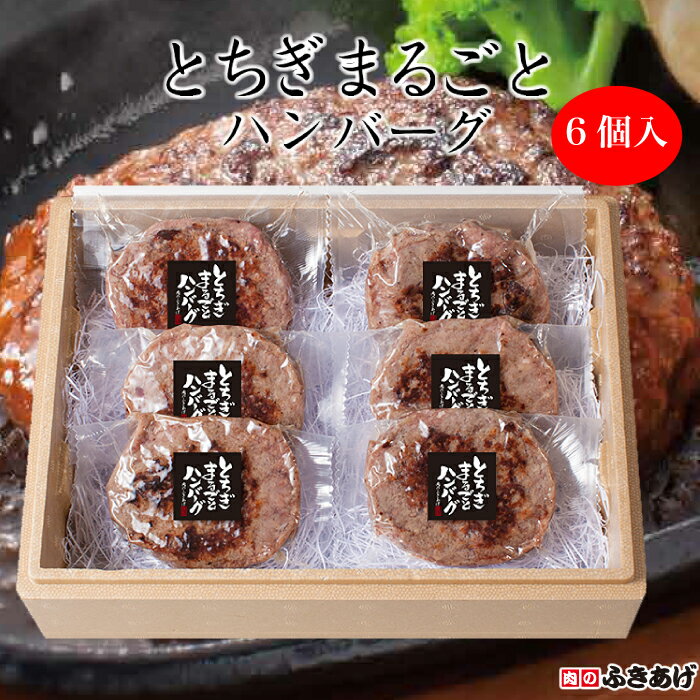 ＜肉のふきあげ とちぎまるごとハンバーグ6個入＞[栃木県産品 栃木市]FN0F6