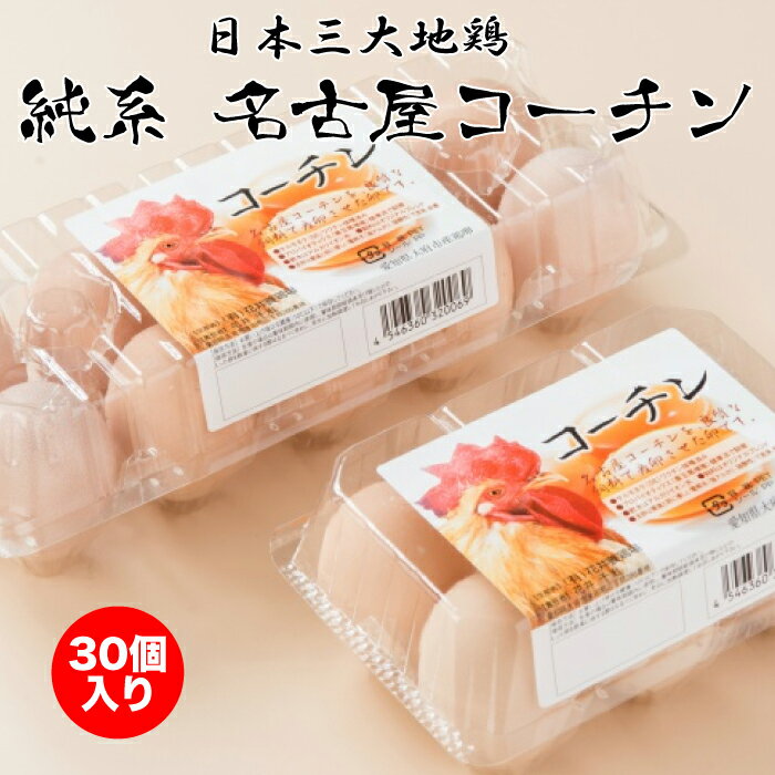 日本三大地鶏 純系 名古屋コーチン卵 30個入り ｜ 愛知県 大府市 花井養鶏場