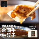 【期間限定ポイント10倍】倉薗牛牛餃子 1ケース40パックセット | 宮崎県 小林市 ビーフ倉薗 ビーフクックくらぞの 黒毛和牛 ブランド牛 ぎょうざ ギョーザ...