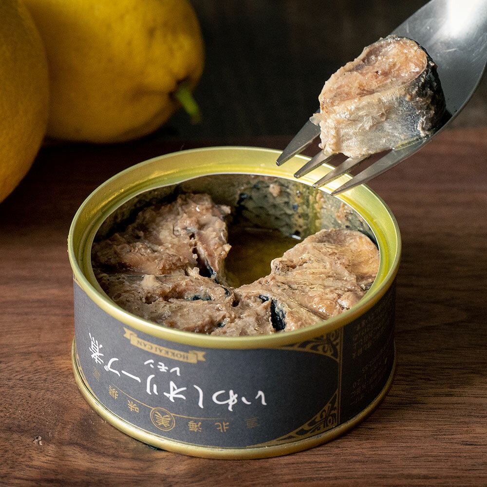 HOKKAICAN 2缶 海の幸 5種セット 海産品 ｜ 北海道 小樽市 UNGA↑ うんがプラス いわし サーモン イカ ホタテ にしん ギフトセット おつまみ ご飯のお供 送料無料