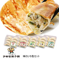 宇都宮餃子会　宇都宮餃子館　味わい5色5種40個セット[栃木県宇都宮市］