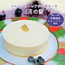 6月の森 ブルーベリーチーズケーキ 6月の雪 ｜ 栃木県産品