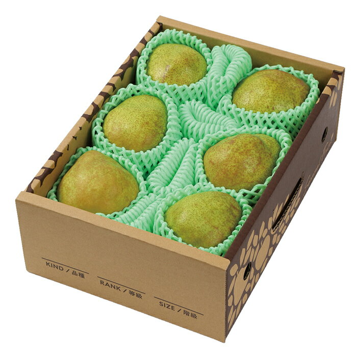 【2025年お歳暮・ポイント10倍】26-01 アンスリーファーム（山形）ラフランス 約2kg F480 | 2025年お歳暮 ギフト