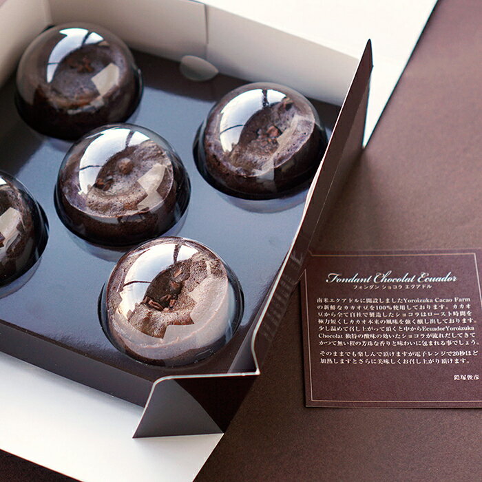【ポイント10倍】01-01 トシ・ヨロイヅカ フォンダンショコラエクアドル F365 | 2025年お歳暮 ギフト