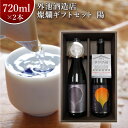 外池酒造店 燦爛 ギフトセット 陽 よう 720ml 2本セット| 日本酒 地酒 ギフト プレゼント お祝い 誕生日 益子の酒造 栃木県産品 益子町 純米大吟醸...