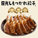 ＜日光しもつかれ餃子 2箱セット 40個入＞ 宇都宮餃子会加盟店 宇都宮ねぎにら餃子 [栃木県産品 宇都宮市] FN048 2