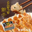 とんきっき餃子 20個入り (ボックス) | 2箱セット 3箱セット 宇都宮餃子会加盟 フタバ食品 うつのみや餃子 贈り物 ギフト お土産 お持たせ 栃木県産品...