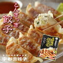 とんきっき餃子 30個入り (袋) | 2袋セット 3袋セット 4袋セット 宇都宮餃子会加盟 フタバ食品 うつのみや餃子 贈り物 ギフト お土産 お持たせ 栃木...