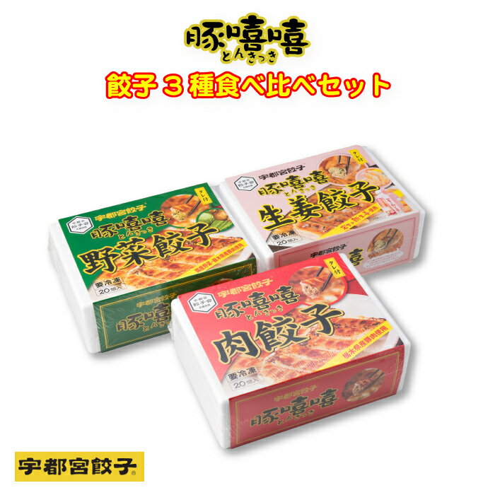 ＜豚きっき とんきっき 餃子3種食べ比べセット＞宇都宮餃子会加盟 肉餃子・野菜餃子・生姜餃子60個セット 栃木名物が夢のコラボ 岩下の新生姜入 餃子 冷凍 [本州送料込][栃木県産品 宇都宮市] …