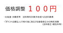 価格調整(送料修正等)「100円」