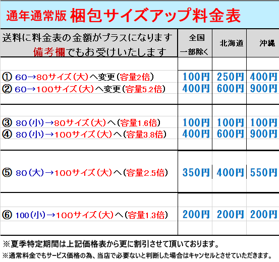 発泡箱(梱包)サイズアップサービス(有料)の紹介画像2