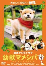 樂天商城 - 【中古】 連続テレビドラマ版 幼獣マメシバ (3巻セット) [レンタル落ち] [DVD]