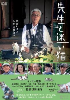 Rakuten - 【中古】 先生と迷い猫 [レンタル落ち] [DVD]