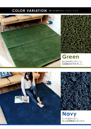 さらさら!マイクロシャギーラグマット(185×240cm)ラグシャギーラグカーペットじゅうたん絨毯オシャレシャギーリビングかわいいらぐ新生活おしゃれ洗えるラグ抗菌防臭