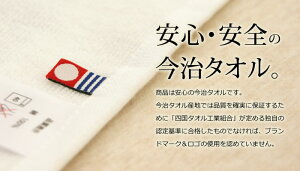 【送料無料】今治タオルimabaritowelガーゼケット140×200cm(シングル)【ガーゼ|タオルケット|ベッドカバー|シングル|コットン|綿|インテリア|雑貨|寝具|おしゃれ|かわいい|北欧|国産|日本製|新生活|母の日|ギフト】
