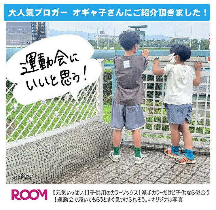 【4足からメール便送料無料】靴下/一年中使える カラーソックス スタンダードソッ...