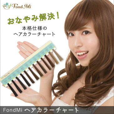 FondMi ヘアカラーチャート DM便送料無料 全12色 ウィッグ、エクステ用カラーサンプル カラー見本 フォンドミィ