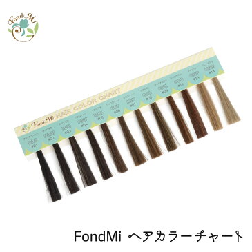 FondMi ヘアカラーチャート DM便送料無料 全12色 ウィッグ、エクステ用カラーサンプル カラー見本 フォンドミィ