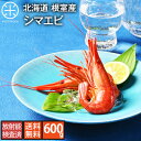 北海道 根室・歯舞産 ホッカイシマエビ 600g(300g×2) (...