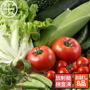 【初回購入者限定】宮崎県産 お試し旬の野菜8品セット【放射能...