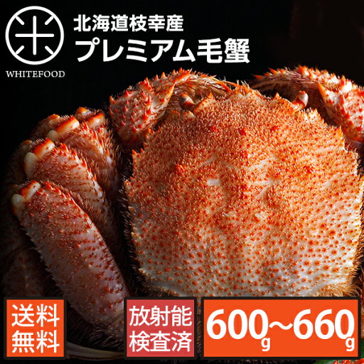 北海道枝幸産 プレミアム毛蟹 600-660g前後【放射能検査済】【送料無料】寒中見舞い グルメ カニ けがに 毛カニ 冷凍 ボイル 特大 お取り寄せグルメ 年末 年始 ごちそう お正月 誕生日 内祝い お返し 海鮮 ギフト 北海道枝幸産 プレミアム毛蟹 600-660g前後【放射能検査済】【送料無料】寒中見舞い グルメ カニ けがに 毛カニ 冷凍 ボイル 特大 お取り寄せグルメ 年末 年始 ごちそう お正月 誕生日 内祝い お返し 海鮮 ギフト