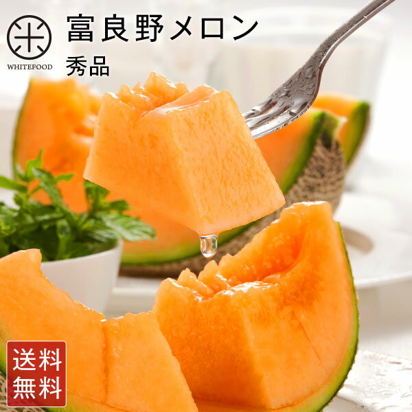 【予約開始】富良野 メロン 1.6kg/2.0kg 玉【送料無料】お土産 お取り寄せ ギフト 北海道 メロン 食べ物 食品 ふらの 果物 グルメ フルーツ 贈答 贈り物