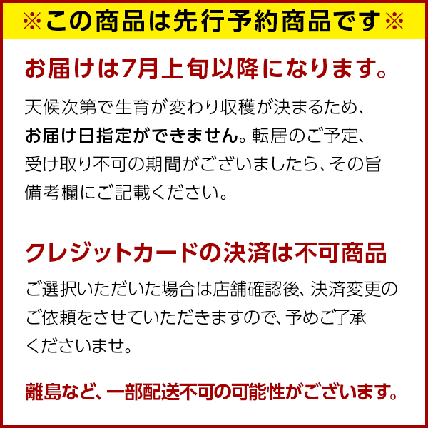 【予約開始】北海道 富良野 メロン 特大 秀品 【送料無料】お土産 お取り寄せ ギフト 北海道 メロン 食べ物 食品 ふらの 果物 グルメ フルーツ 贈答 贈り物