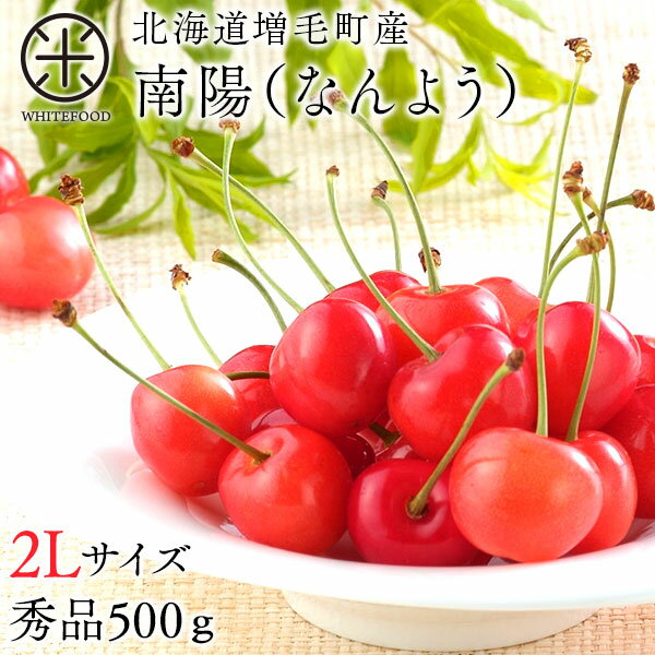 さくらんぼ 北海道産 南陽 500g(2Lサイズ)【産地直送】北海道の大地で育てたサクランボチェリー 果物 フルーツ グルメ ギフト プレゼント 食品 食べもの 景品 贈り物 お土産 お取り寄せグルメ お中元 御中元 内祝い 南陽