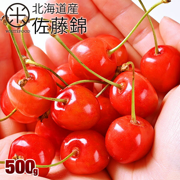 ̳ƻ ƣΤ ƣ 500g(L)ڻľ̳ƻϤǺƣ󤬰Ƥܥ꡼ ʪ ե롼  ե ץ쥼  ٤  £ʪ ڻ 󤻥 渵 渵