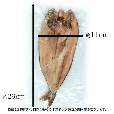 【生干し昆布干物】紅法華(べにほっけ)一尾（220-260g）北海道 お土産 お取り寄せ ギフトほっけ ホッケ 北海道産 干物 一品追加