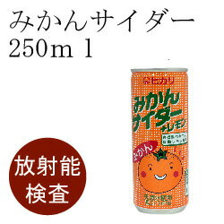 【無添加】みかんサイダー250ml【放射能検査済】