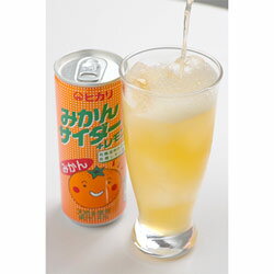 【無添加】みかんサイダー250ml【放射能検査済】