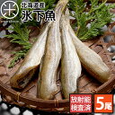 【生干し昆布干物】氷下魚(こまい) 20g〜40g×5尾 北海道 お土産 お取り寄せ ギフト コマイ