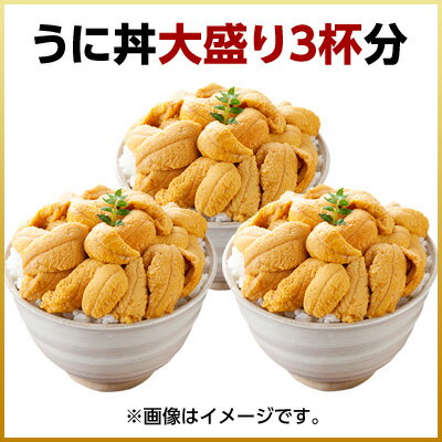 【水揚げ次第お届け】うに 北海道 礼文島産 生キタムラサキウニ 270g(うに丼3杯分)【送料無料】【放射能検査済】雲丹 無添加 生うに 塩水パック 塩水ウニ ギフト グルメ 食品 食べもの 海鮮 海鮮丼 寿司 贈り物 お取り寄せグルメ ミョウバン未使用 ご飯のお供