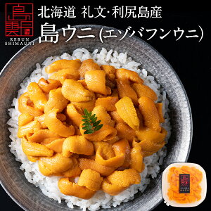 うに 北海道 礼文島産 生エゾバフンウニ 90g(うに丼1杯分)【放射能検査済】雲丹 無添加 生うに 塩水パック 塩水ウニ ギフト グルメ 食品 食べもの 海鮮 海鮮丼 寿司 贈り物 お取り寄せグルメ ミョウバン未使用 ご飯のお供 バフンウニ