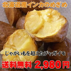 【送料無料】幻のジャガイモ北海道産インカのめざめ(5kg)
