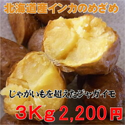 【送料無料】北海道産インカのめざめ(3kg2200円