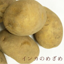 【送料無料】幻のジャガイモ北海道産インカのめざめ(5kg)