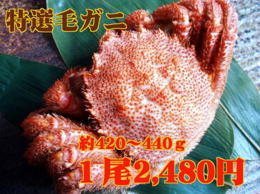 【10尾以上で送料無料!】北海道産毛ガニ(約420〜440g)※年末着日指定OK!