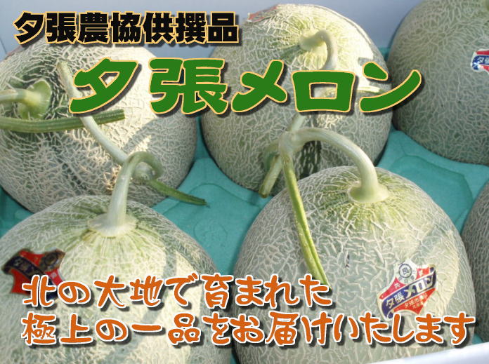 【父の日ギフト】【夕張農協供撰品】夕張メロン(優品約1.3kg/玉 2個入)※6/13〜15お届け着日指定不可