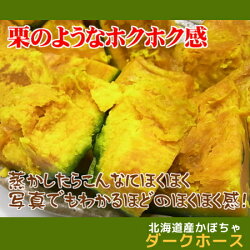 【訳あり】北海道産かぼちゃ「ダークホース」(約10kg)