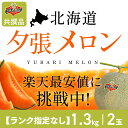 【夕張農協共撰品】夕張メロン(規格ランク指定なし、約1.3kg中玉×2玉入)【送料無料※ただし追加送料中四国九州500円、沖縄2500円】※着日指定不可