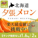 【夕張農協共撰品】夕張メロン(規格ランク指定なし、約1.6kg大玉×2玉入)【送料無料※ただし追加送料中四国九州500円、沖縄2500円】※着日指定不可