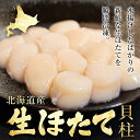 北海道産生ほたて（500g）